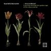Download track Quartet In B-Flat Major, WB60: I. Allegro