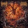 Download track Momentos Of Dissection
