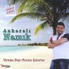 Download track Müdür Beyin Yeşil Kürkü