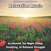Download track Relaxation Music, Pt. 42