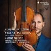 Download track 8. Viola Concerto In G Major TWV 51: G9 - I. Largo