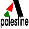 Download track Palestine (Tony Qattan)