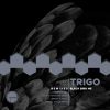 Download track Black Bird (Trigo's Imposter Remix)