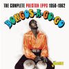 Download track Bongo Boogie