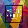 Download track Auto Melodicate