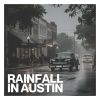Download track Customs Of The Rain