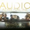 Download track Big House