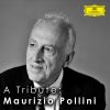 Download track Variations In C Major, Op. 120 On A Waltz By Diabelli: Variation XIV (Grave E Maestoso)