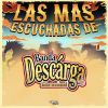 Download track El Son Del Huicholito
