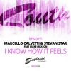 Download track I Know How It Feels (Martin Eriksson & Southside House Collective Remix)