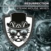 Download track Resurrection (Steam House Radio Mix)