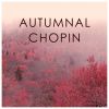 Download track Nocturne No. 7 In C-Sharp Minor, Op. 27, No. 1