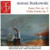 Download track Piano Trio In G Minor, Op. 13 - III. Allegro Con Fuoco