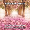 Download track Relaxation Music, Pt. 50