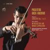 Download track Paganini - Violin Concerto No. 1 In D Major, Op. 6 - III. Rondo. Allegro Spirituoso