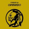 Download track Caminando (Extended Mix)