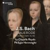 Download track 03 - Laß, Fürstin, Laß Noch Einen Strahl, BWV 198, Prima Pars- Aria ''Verstummt! ''