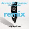 Download track Beware The Stranger (Chris Seefried's Ambient Excursion)