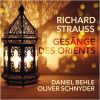 Download track Gesänge Des Orients, Op. 77: I. Ihre Augen