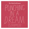 Download track Punching In A Dream (Stripped)