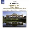 Download track Symphony No. 1 In E Major - I. Sehr Langsam - Sehr Lebhaft