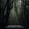 Download track The Bard's Song (In The Forest)