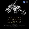 Download track Nielsen: Violin Concerto, Op. 33: I. (B) Allegro Cavalleresco