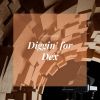 Download track Diggin' For Dex