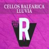Download track Danza De La Lluvia (Extended Percussion Mix)