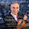 Download track 02. Violin Concerto No. 1 In B-Flat Major, K. 207 II. Adagio