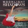 Download track Moonlight Shadow