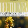 Download track 01 - Symphony No. 5 In C Minor, Op. 67 ''Fate''- I. Allegro Con Brio