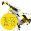 Download track Violin Concerto In C Major, Hob. VIIa: 1: II. Adagio