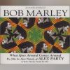 Download track What Goes Around Comes Around (Marley Family Mix)