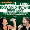 Download track Fuiste Un Trozo De Hielo En La Escarcha (Karaoke Version)