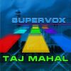Download track Taj Mahal