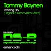 Download track Evening Sky [Original Mix]
