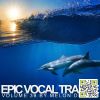 Download track Swan Song (Paul Ercossa Remix)