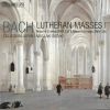 Download track Sanctus, BWV 238