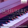 Download track Piano Sonata In A Minor, Op. 143, D. 784: II. Andante
