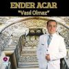 Download track Vasil Olmaz