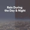 Download track Night Rain Melodies