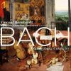 Download track 03 - Brandenburg Concerto No. 1 In F Major, BWV 1046 - III. Allegro