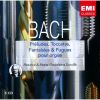 Download track Praludium Und Fuge In E-Moll BWV 533 - Praludium