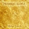 Download track Midas Touch