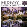 Download track Monkey Forest (Original Mix)