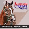 Download track Caballito De Mar