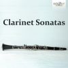 Download track Sonata For Clarinet And Piano- I. Mäßig Bewegt - Sehr Ruhig