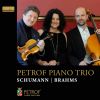 Download track Piano Trio No. 1 In D Minor, Op. 63: I. Mit Energie Und Leidenschaft