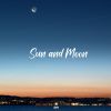 Download track Under The Night Sky